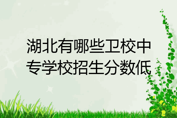 湖北有哪些卫校中专学校招生分数低