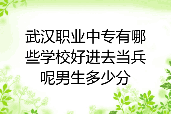 武汉职业中专有哪些学校好进去当兵呢男生多少分