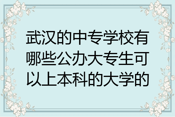武汉的中专学校有哪些公办大专生可以上本科的大学的
