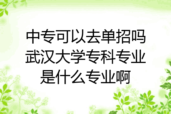 中专可以去单招吗武汉大学专科专业是什么专业啊