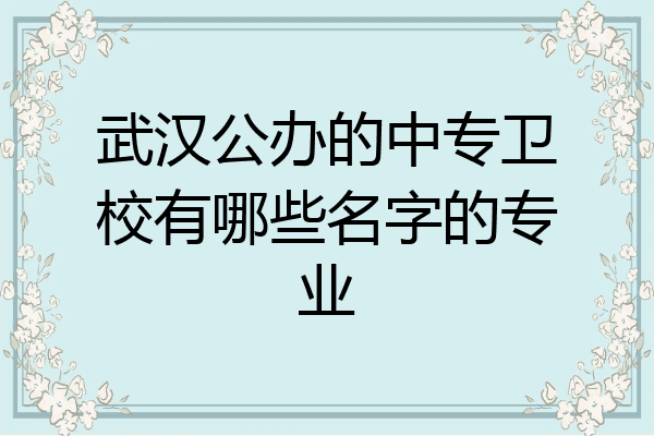 武汉公办的中专卫校有哪些名字的专业
