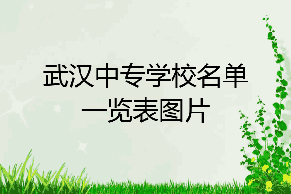 武汉中专学校名单一览表图片