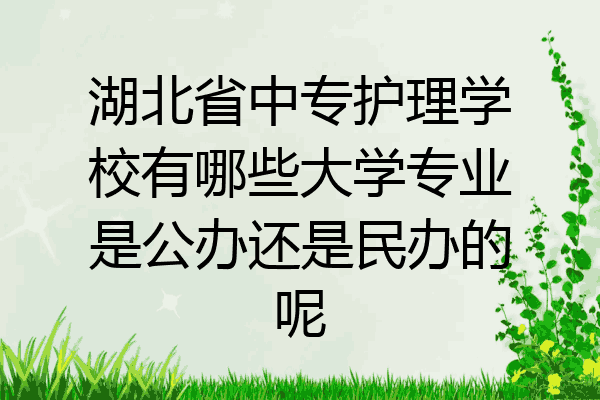 湖北省中专护理学校有哪些大学专业是公办还是民办的呢