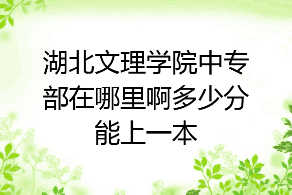 湖北文理学院中专部在哪里啊多少分能上一本
