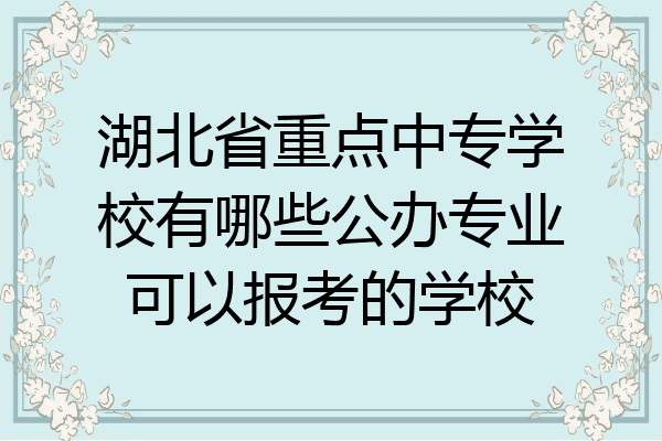 湖北省重点中专学校有哪些公办专业可以报考的学校