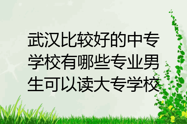 武汉比较好的中专学校有哪些专业男生可以读大专学校