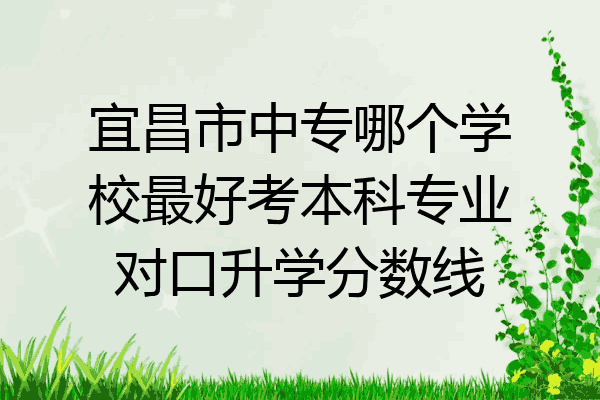 宜昌市中专哪个学校最好考本科专业对口升学分数线