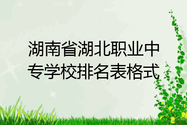 湖南省湖北职业中专学校排名表格式