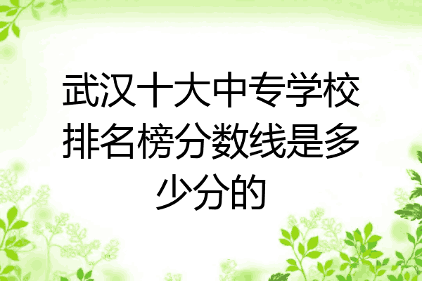 武汉十大中专学校排名榜分数线是多少分的