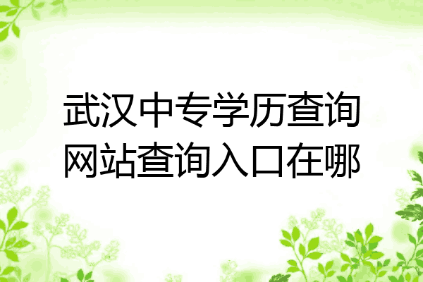 武汉中专学历查询网站查询入口在哪