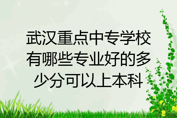 武汉重点中专学校有哪些专业好的多少分可以上本科