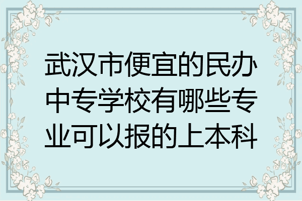 武汉市便宜的民办中专学校有哪些专业可以报的上本科