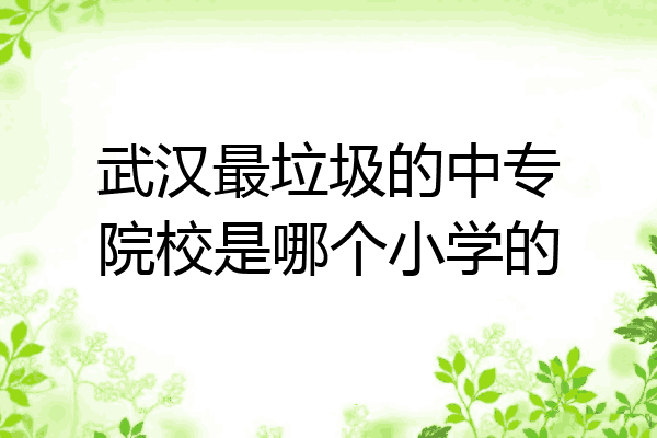 武汉最垃圾的中专院校是哪个小学的