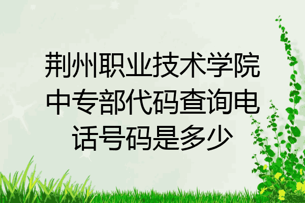 荆州职业技术学院中专部代码查询电话号码是多少