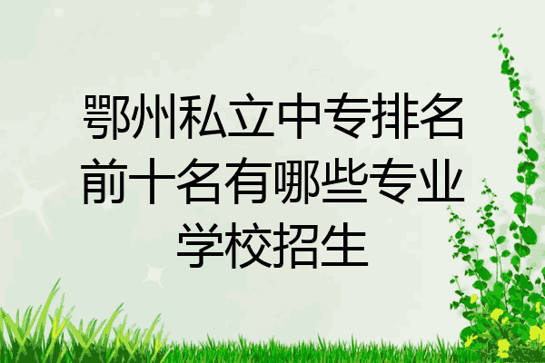 鄂州私立中专排名前十名有哪些专业学校招生