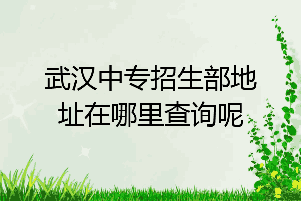 武汉中专招生部地址在哪里查询呢