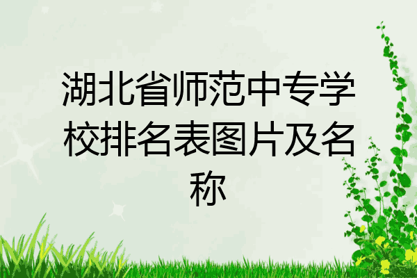 湖北省师范中专学校排名表图片及名称