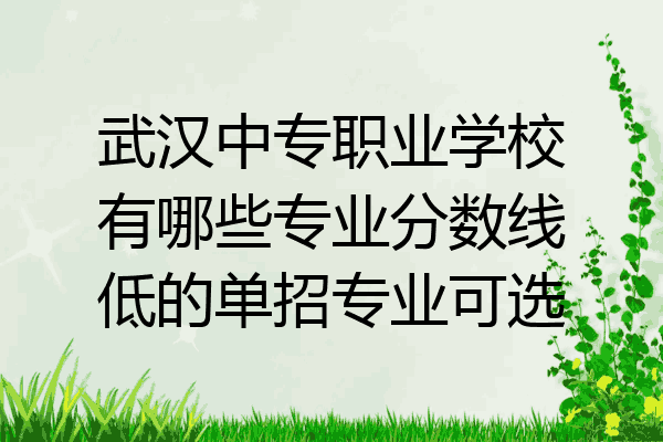 武汉中专职业学校有哪些专业分数线低的单招专业可选