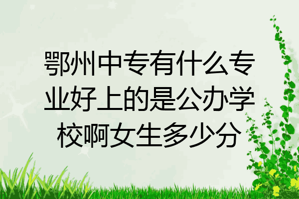 鄂州中专有什么专业好上的是公办学校啊女生多少分