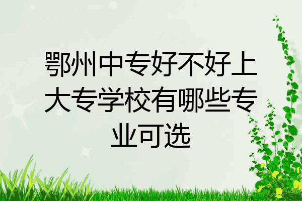 鄂州中专好不好上大专学校有哪些专业可选