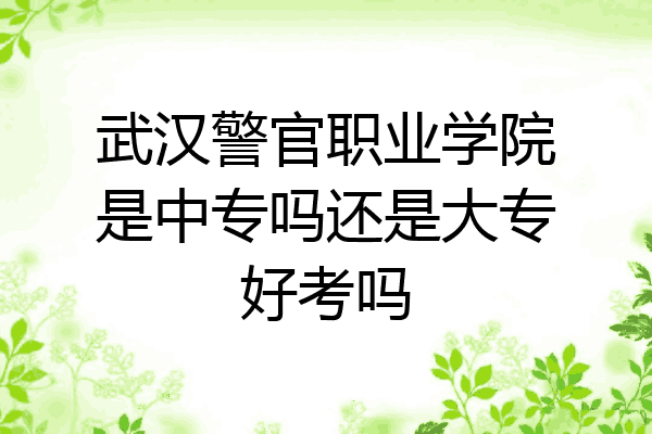 武汉警官职业学院是中专吗还是大专好考吗