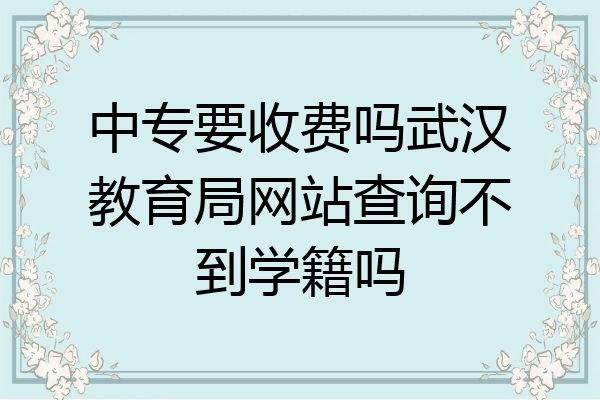 中专要收费吗武汉教育局网站查询不到学籍吗