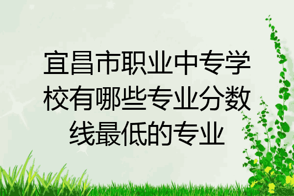 宜昌市职业中专学校有哪些专业分数线最低的专业