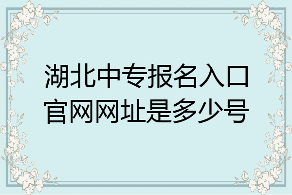 湖北中专报名入口官网网址是多少号
