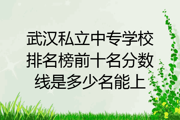 武汉私立中专学校排名榜前十名分数线是多少名能上
