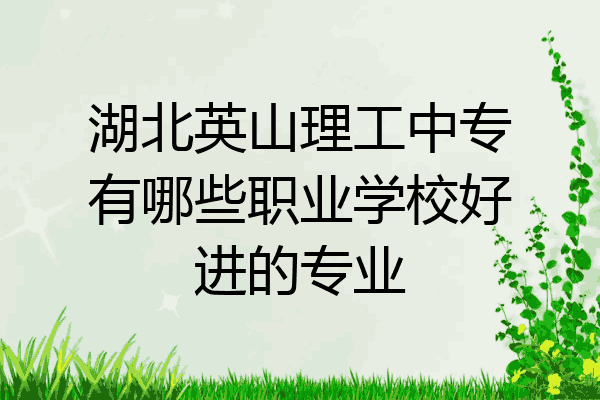 湖北英山理工中专有哪些职业学校好进的专业