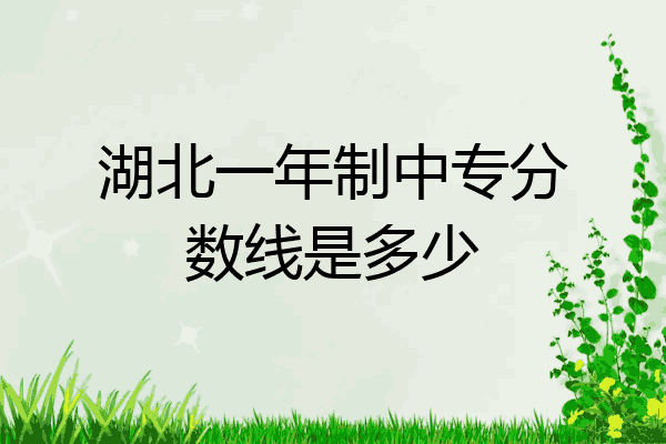 湖北一年制中专分数线是多少
