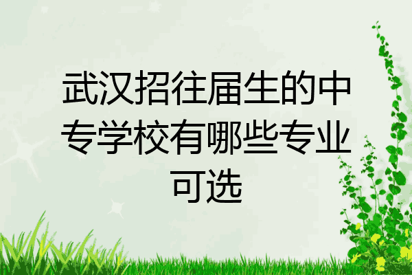 武汉招往届生的中专学校有哪些专业可选