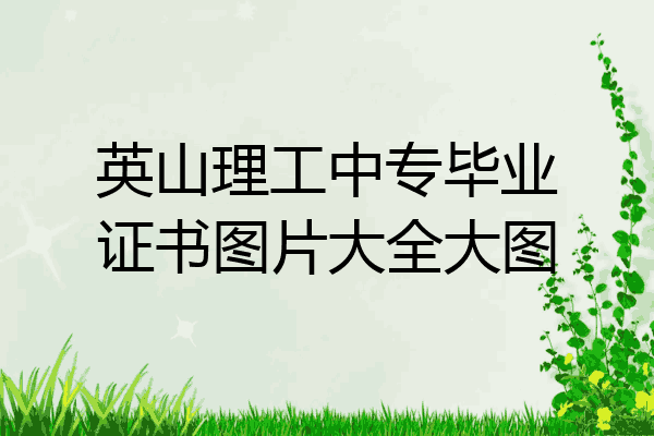 英山理工中专毕业证书图片大全大图