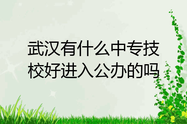 武汉有什么中专技校好进入公办的吗