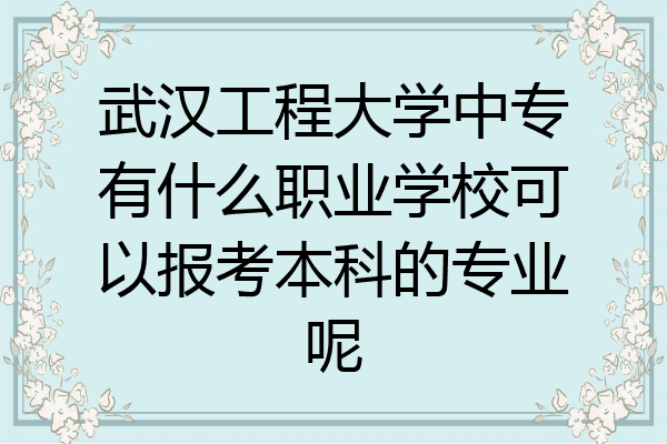 武汉工程大学中专有什么职业学校可以报考本科的专业呢