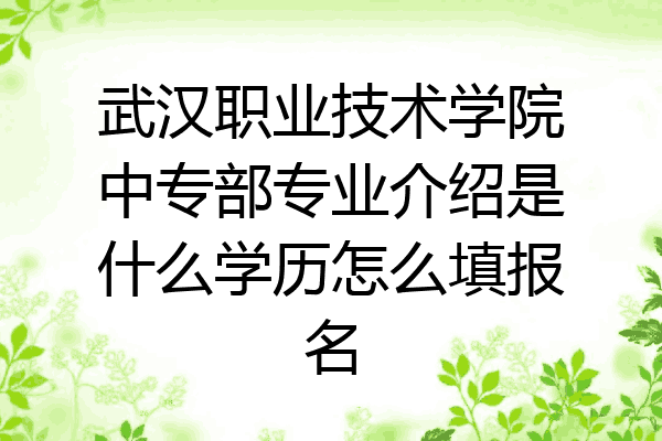 武汉职业技术学院中专部专业介绍是什么学历怎么填报名