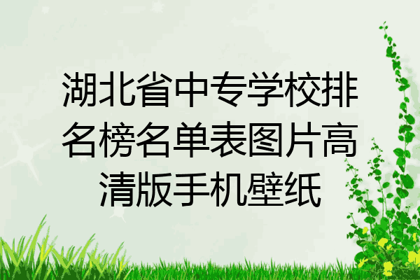 湖北省中专学校排名榜名单表图片高清版手机壁纸