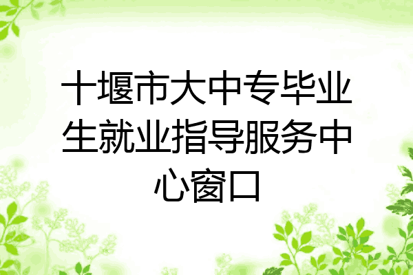 十堰市大中专毕业生就业指导服务中心窗口