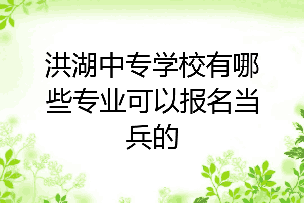 洪湖中专学校有哪些专业可以报名当兵的