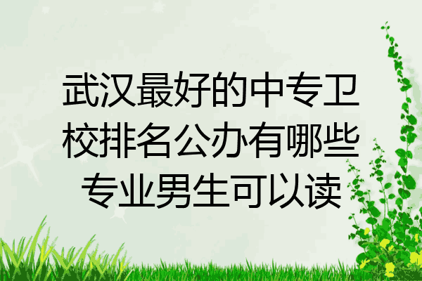 武汉最好的中专卫校排名公办有哪些专业男生可以读