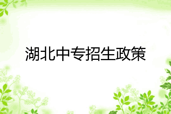 湖北中专招生政策