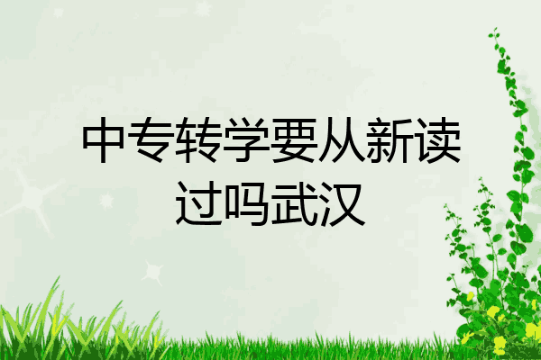 中专转学要从新读过吗武汉