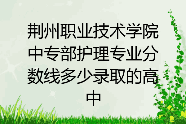 荆州职业技术学院中专部护理专业分数线多少录取的高中