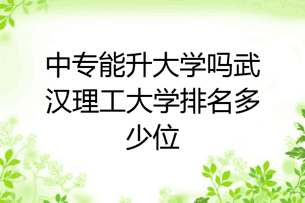 中专能升大学吗武汉理工大学排名多少位