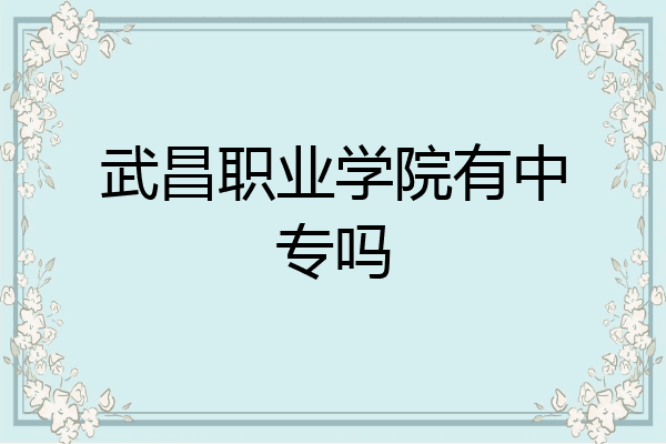 武昌职业学院有中专吗