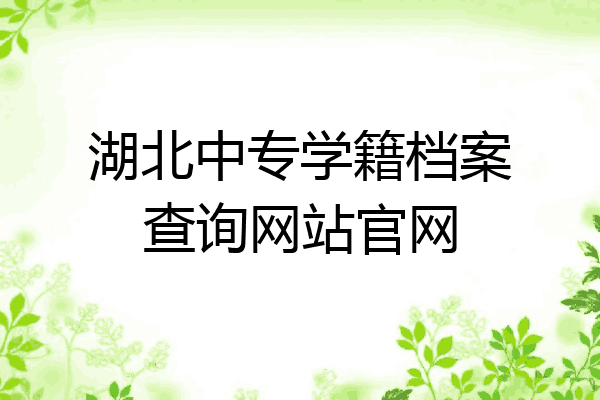 湖北中专学籍档案查询网站官网