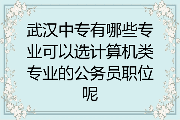 武汉中专有哪些专业可以选计算机类专业的公务员职位呢