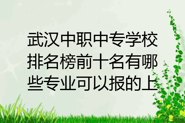 武汉中职中专学校排名榜前十名有哪些专业可以报的上