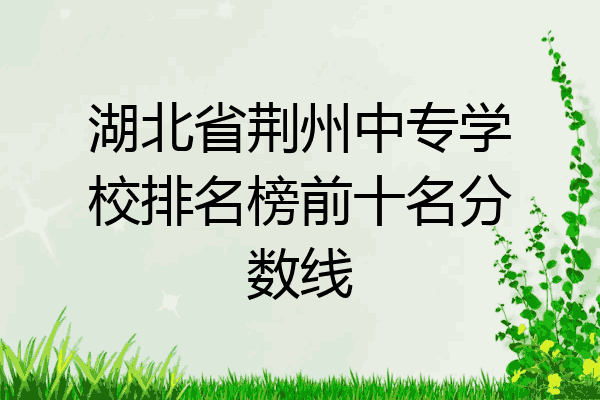 湖北省荆州中专学校排名榜前十名分数线