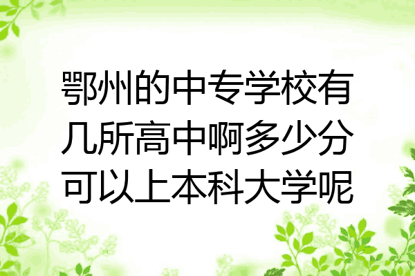 鄂州的中专学校有几所高中啊多少分可以上本科大学呢